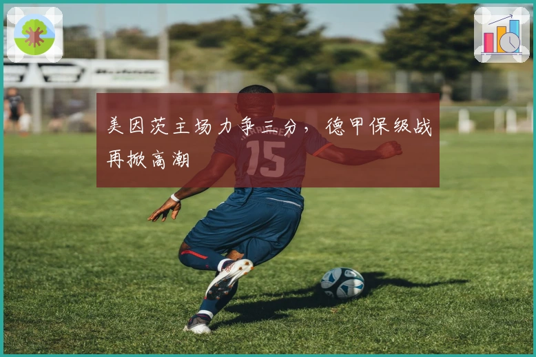 美因茨主场力争三分，德甲保级战再掀高潮