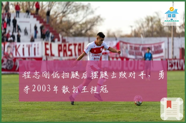 程志刚低扫腿后摆腿击败对手，勇夺2003年散打王桂冠