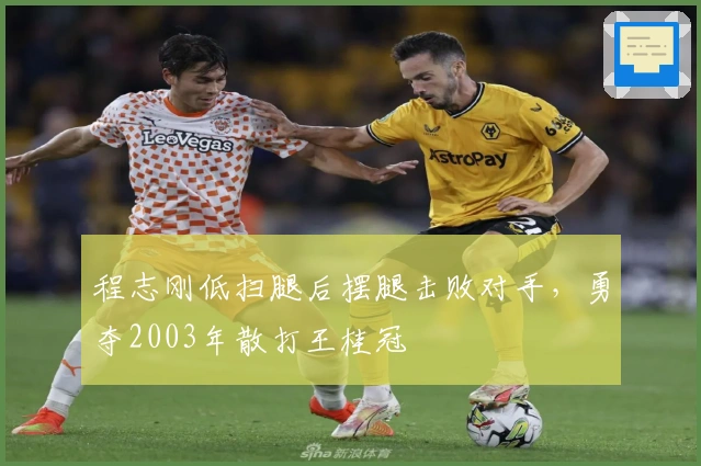 程志刚低扫腿后摆腿击败对手，勇夺2003年散打王桂冠